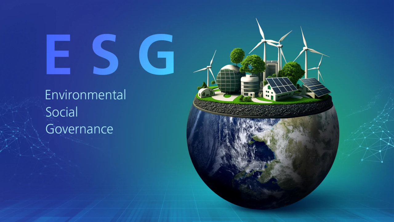 Environmental, social and governance framework