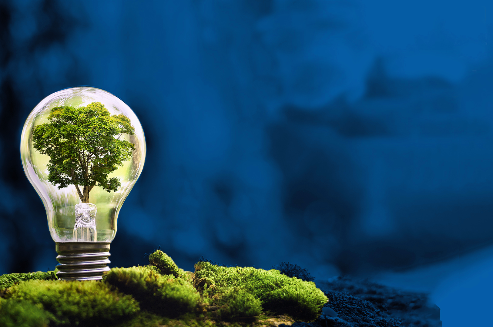 Tree in a light bulb representing responsible growth