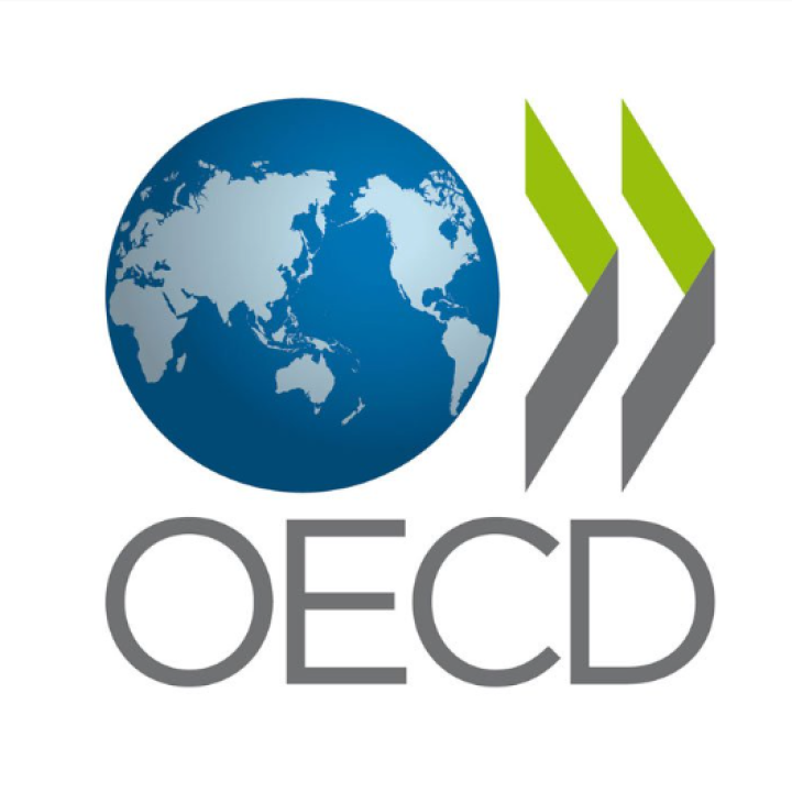 OECD Due Diligence logo